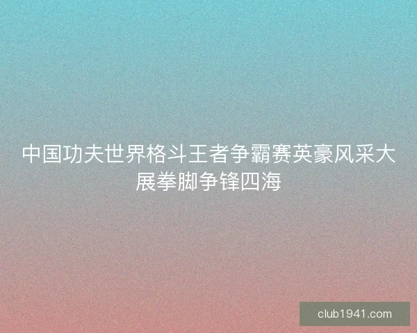 中国功夫世界格斗王者争霸赛英豪风采大展拳脚争锋四海