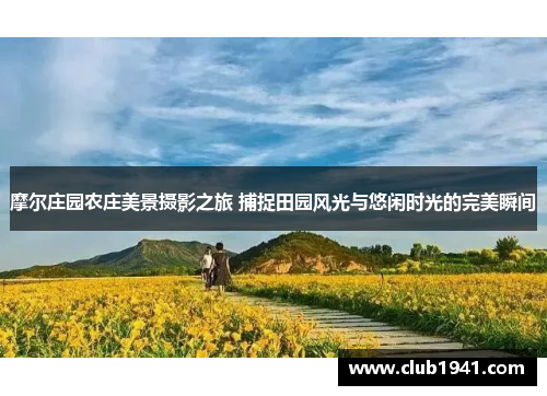 摩尔庄园农庄美景摄影之旅 捕捉田园风光与悠闲时光的完美瞬间